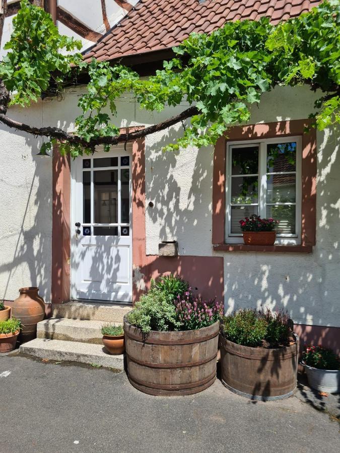 Schoene Ferienwohnung Mit Kamin Neustadt an der Weinstrasse Exterior photo